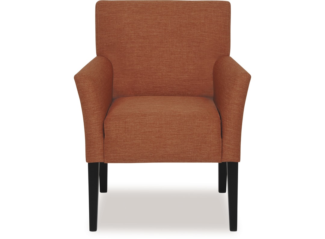 Petra Armchair / Occasional Chair